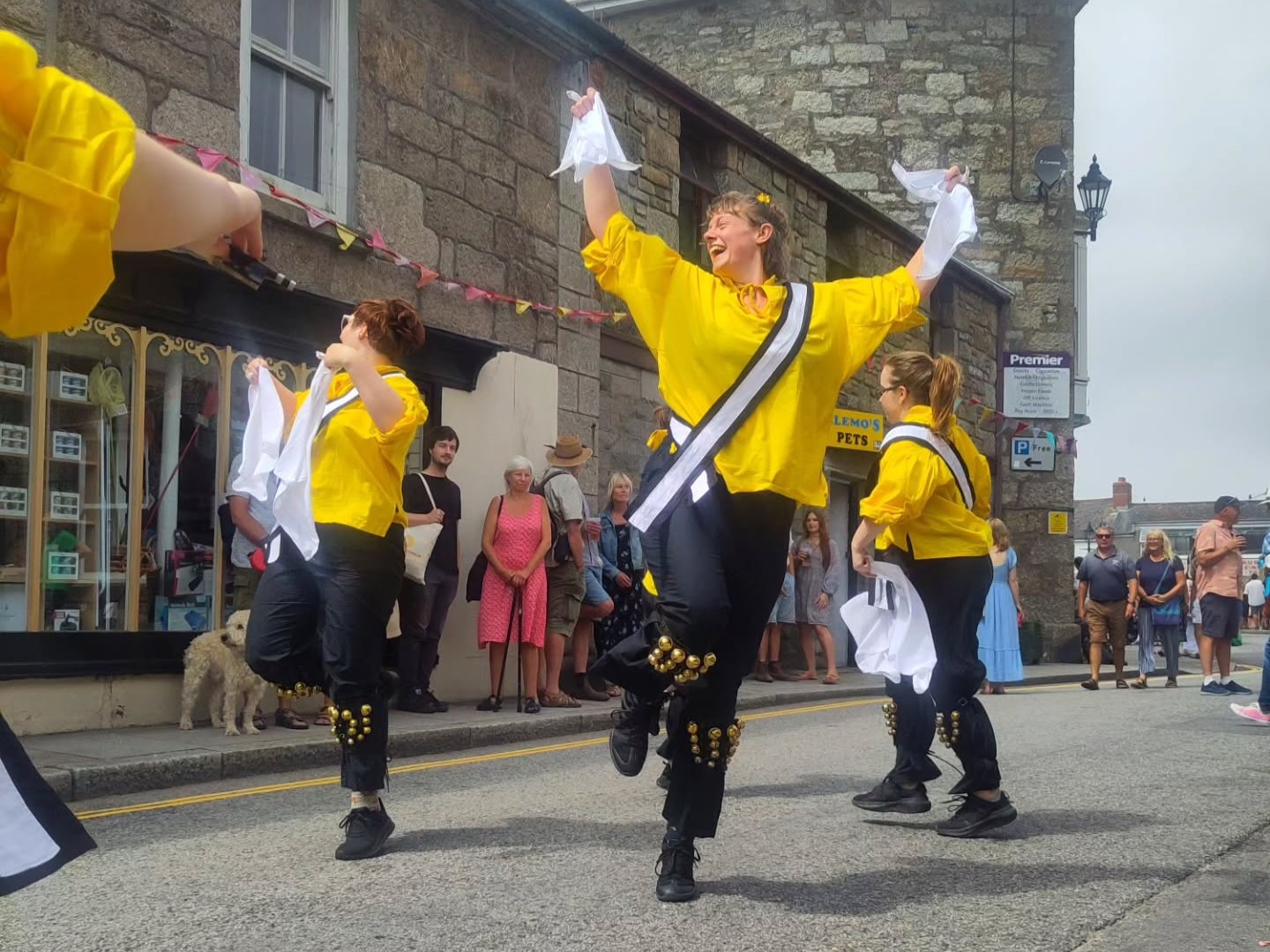 Lowenek morris dancers in action